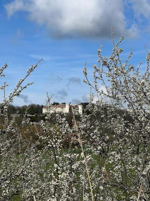 Maison Ray Sur Saone Ray-sur-Saone Esterno foto